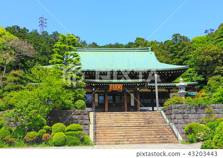 看Ryuzenji寺的正殿 看Ryuzenji寺的正殿 43203443
