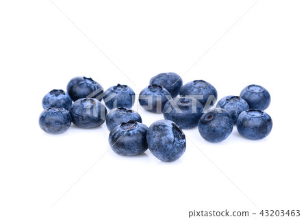blueberry isolated on white background 43203463