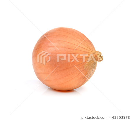 onion and isolated on white background onion and isolated on white background 43203578