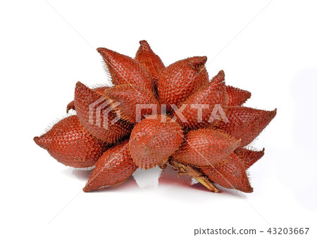 Salacca or zalacca on white background 43203667
