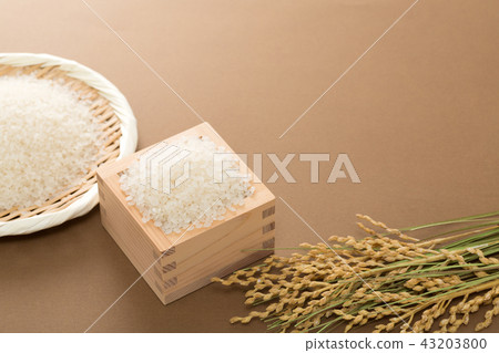飯 飯 43203800