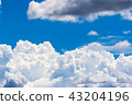 Summer blue sky 43204196