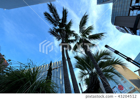 Early morning around Nishi Ginza SONY PARK 43204512