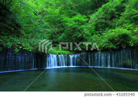 Karuizawa Shiraito Falls Karuizawa Shiraito Falls 43205340