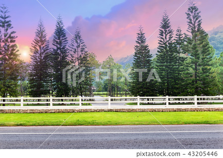 White fence at roadside. White fence at roadside. 43205446