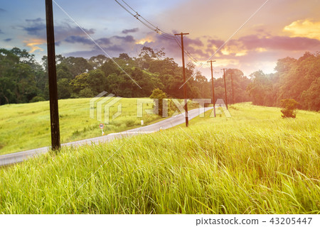 Asphalt roat in national park forest. Asphalt roat in national park forest. 43205447
