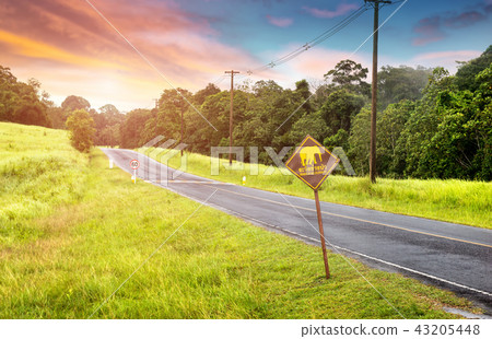 Asphalt roat in national park forest. Asphalt roat in national park forest. 43205448