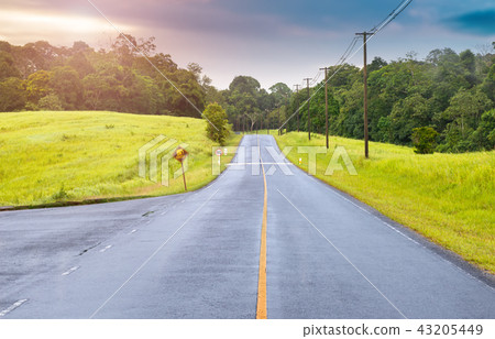 Asphalt roat in national park forest. Asphalt roat in national park forest. 43205449