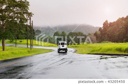 Asphalt roat in national park forest. 43205450