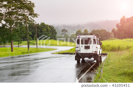 Asphalt roat in national park forest. 43205451