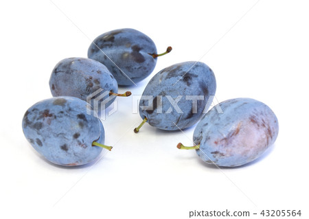 Prunes (Sumomasu) Prunes (Sumomasu) 43205564