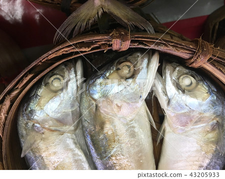 Mackerel fish in bamboo basket at market, Thailand Mackerel fish in bamboo basket at market, Thailand 43205933