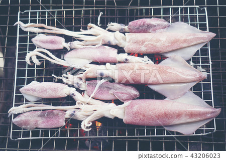 Grilled squid on charcoal grilled seafood Grilled squid on charcoal grilled seafood 43206023