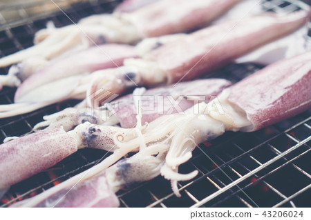 Grilled squid on charcoal grilled seafood Grilled squid on charcoal grilled seafood 43206024