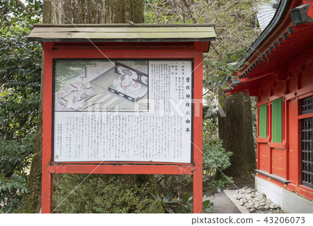 Soga Shinto Shrine (Hakone-cho, Kanagawa Prefecture) 43206073