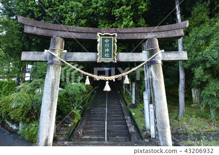 Torii Torii 43206932