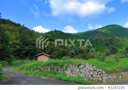 Countryside image_countryside landscape Countryside image_countryside landscape 43207285