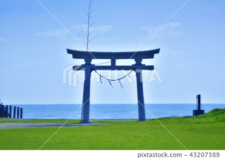 在Fisugasaki海岸廣場的Toriiigaki Torii 43207389