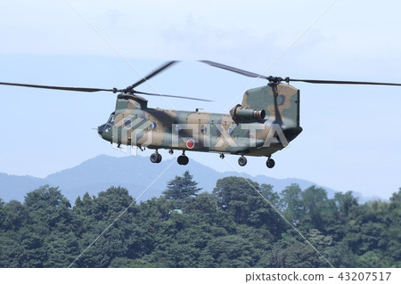 The Ground Self Defense Force's CH-47J Chinook transport helicopter is also active in disaster dispatching hovering in forest areas The Ground Self Defense Force's CH-47J Chinook transport helicopter is also active in disaster dispatching hovering in forest areas 43207517