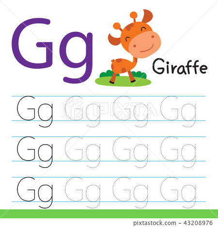 giraffe drawing line vector design giraffe drawing line vector design 43208976