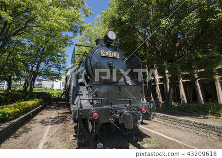 蒸汽機車 火車 列車 43209618