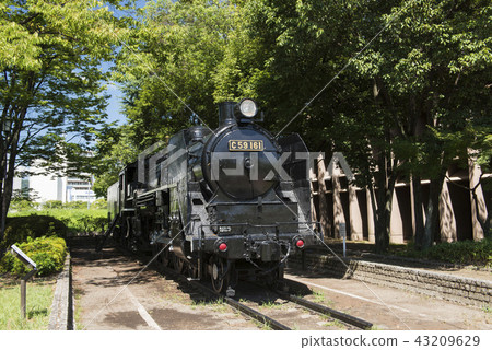 蒸汽機車 火車 列車 43209629