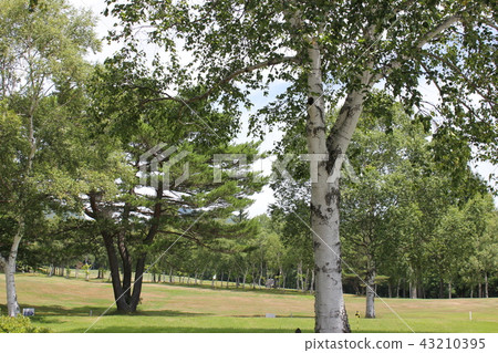 Golf course 43210395