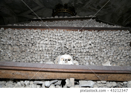 Sedlec Ossuary--Kutna Hora in the Czech Republic Sedlec Ossuary--Kutna Hora in the Czech Republic 43212347