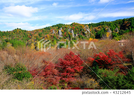 大分縣秋天后面馬掌塔特省羽田的看法的秋葉 43212645