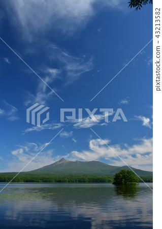 Taking a picture of the summer landscape of Onami Park in Nanae Town, Hokkaido and Komagatake in Hokkaido 43213582