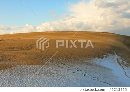 Tottori sand dune in winter Tottori sand dune in winter 43213853