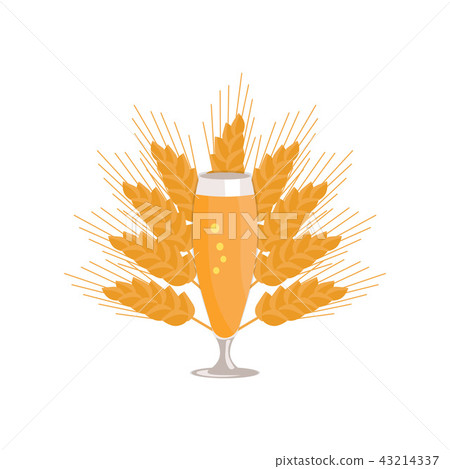 Pilsner Glass of Beer Isolated on White Background 43214337