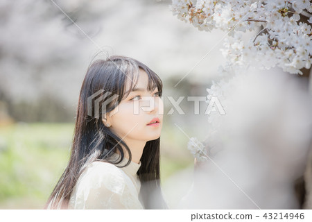 20s woman travel sensuality cherry blossom spring 20s woman travel sensuality cherry blossom spring 43214946