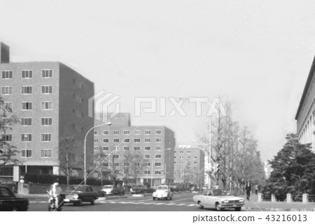 Landscape of Showa Nagata-cho, Chiyoda-ku, Tokyo Next to the National Assembly Building Former National Assembly Hall 1984 Landscape of Showa Nagata-cho, Chiyoda-ku, Tokyo Next to the National Assembly Building Former National Assembly Hall 1984 43216013