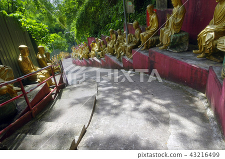 Ten Thousand Buddhas Monastery in Sha Tin Ten Thousand Buddhas Monastery in Sha Tin 43216499