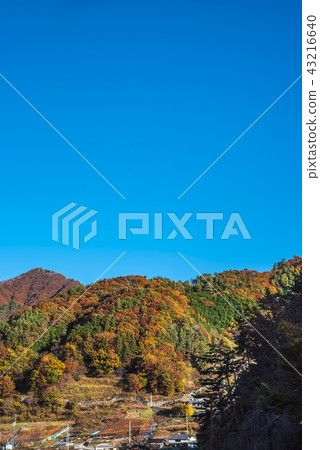[Shosen rocky leaves] 43216640