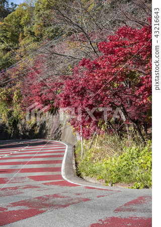 [Shosenkyo Wada Pass] 43216643