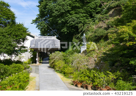 Roshi-ji寺 43219125