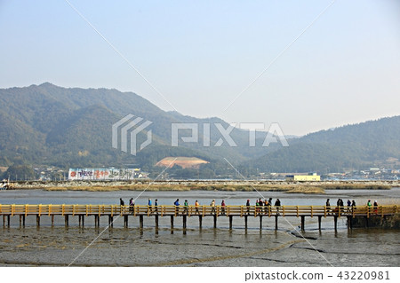 Gaudo Gangjin Tidal Flat Gaudo Gangjin Tidal Flat 43220981