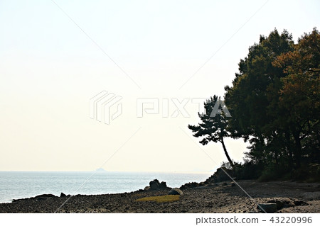 Gaudo Gangjin Tidal Flat 43220996