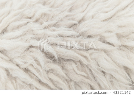 high detail of sheep fur skin texture pattern soft high detail of sheep fur skin texture pattern soft 43221142