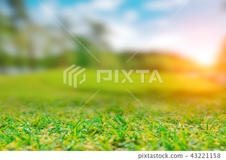 green field grass Hills view of golf course green field grass Hills view of golf course 43221158