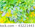 花 43221443