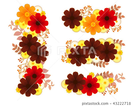 Chocolate Cosmos frame Chocolate Cosmos frame 43222718
