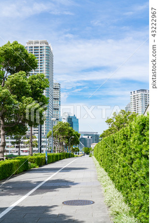 [Kanagawa Prefecture] Urban landscape 43222967