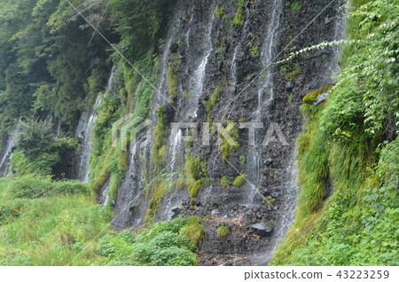 Shiraito Falls（靜岡縣富士宮市Uenoide） 43223259