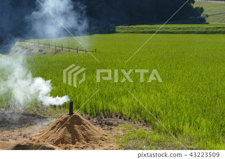 稻殼木炭 43223509