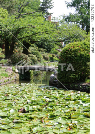 Dogo Koen Yuzuki城堡護城河的荷花 43223798