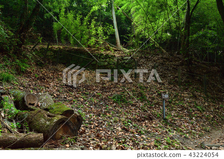 日本100大城堡·Takajyo 43224054