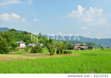 奈良/明日香寺 奈良/明日香寺 43224781
